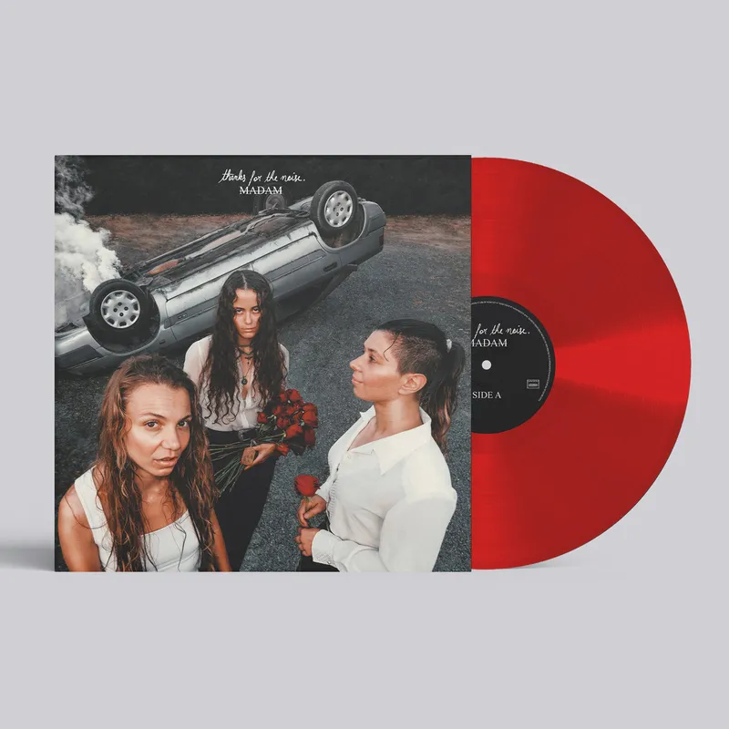Thanks for the Noise / Vinyle — photo 1
